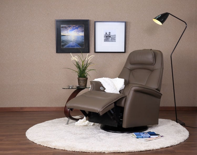 Shop Modern Leather Recliners Chair Land Furniture Outlet