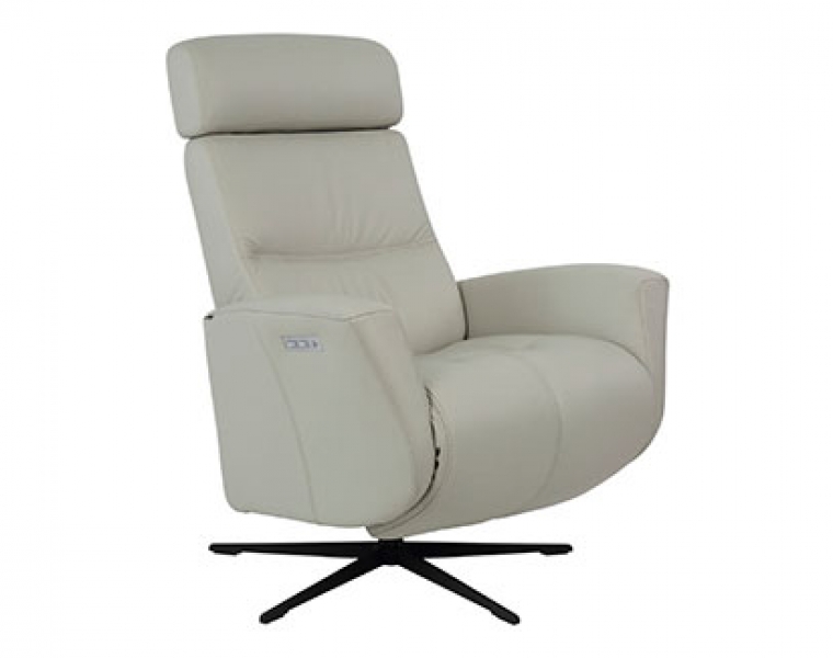 Shop Modern Leather Recliners Chair Land Furniture Outlet