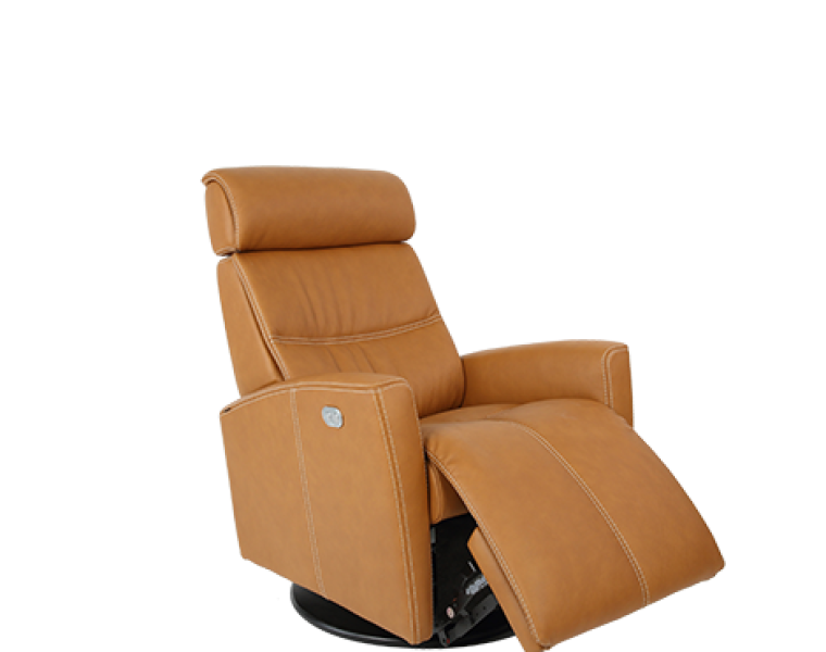 Shop Modern Leather Recliners Chair Land Furniture Outlet